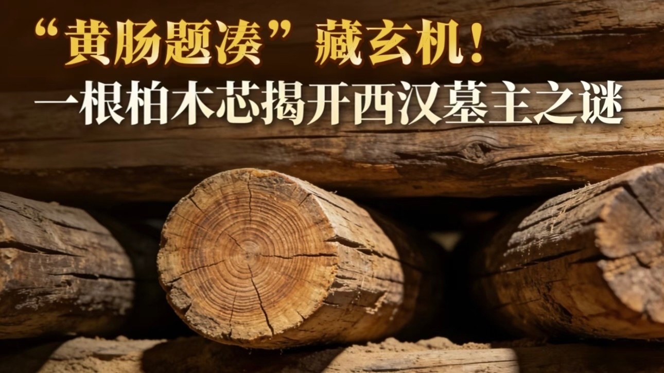 “黄肠题凑”藏玄机！一根柏木芯揭开西汉墓主之谜