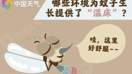 天这么热，可能蚊子也不喜欢喝热饮吧