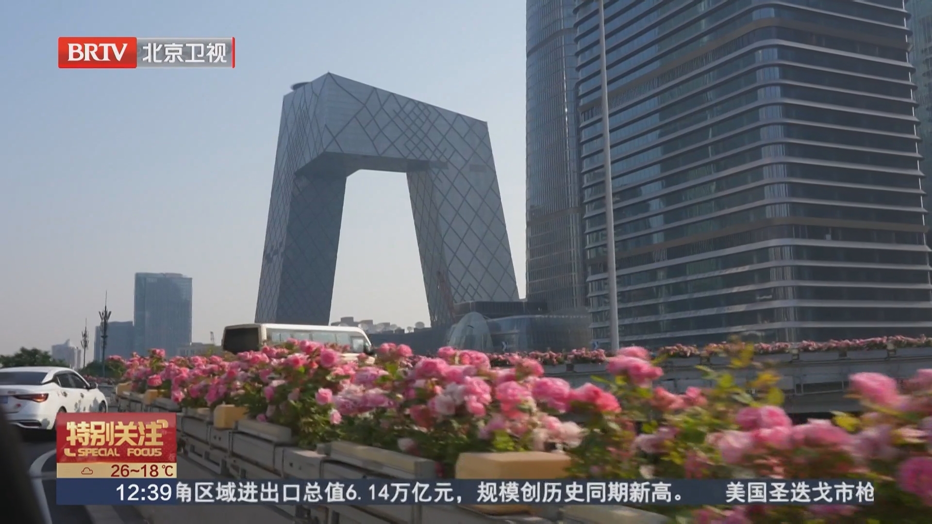 空中花廊 流动画卷：摄影师带您打卡环路月季