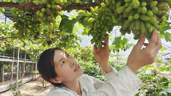 “漏沙坑”里长出“百果园”