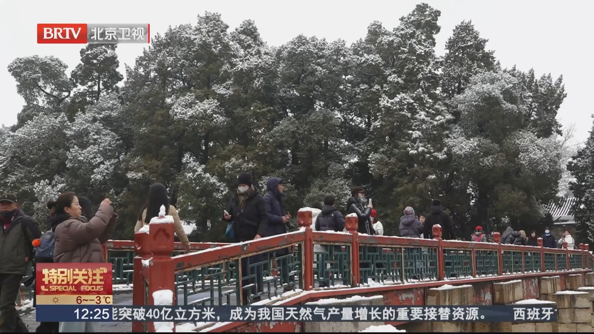 京城雪润万物无声 草木发芽春花吐蕊