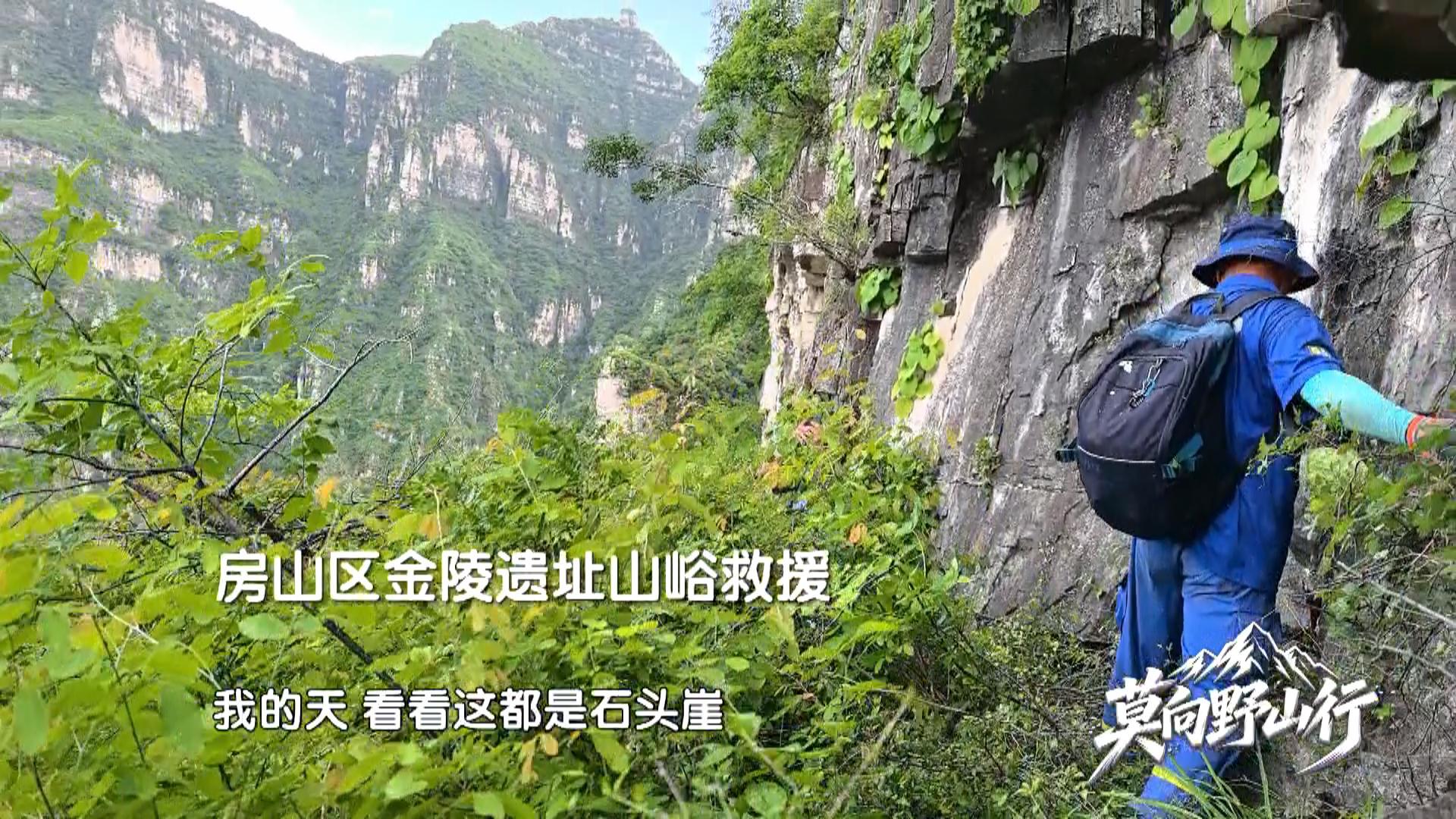 多大瘾啊,跑这儿爬野山来! 多大瘾啊,跑这儿爬野山来!