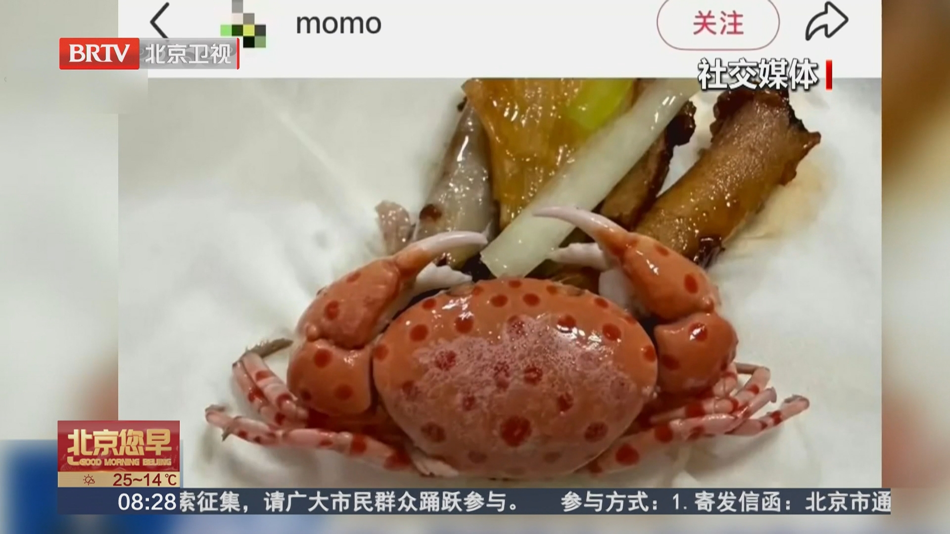 秋日尝“鲜” 警惕餐桌上的“剧毒伪装者”