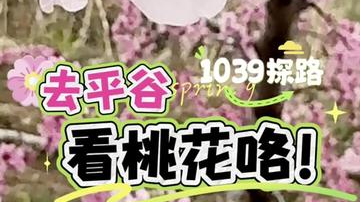 4月10日到5月5日,平谷区将举办第28届北京平谷国际桃花节 4月10日到5月5日,平谷区将举办第28届北京平谷国际桃花节