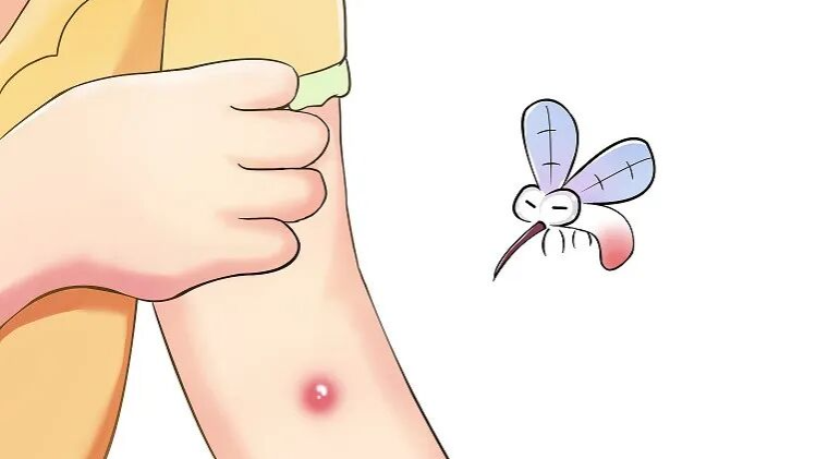 蚊子藏隐患？乙脑怎么防？这套“防护攻略”快收好 | 科普时间