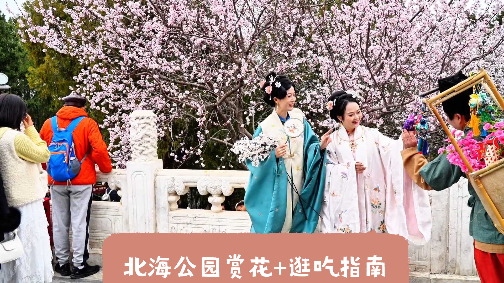 北京春日Citywalk：北海公园赏花+逛吃指南，这条路线绝了！