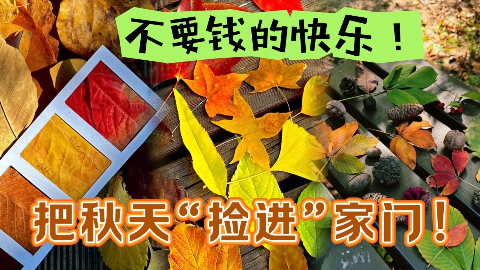 不要钱的快乐！把北京的金秋“捡进”家门！_北京时间