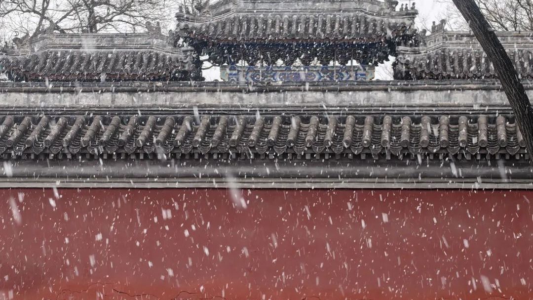 突然!北京3月!鹅毛大雪! 突然!北京3月!鹅毛大雪!