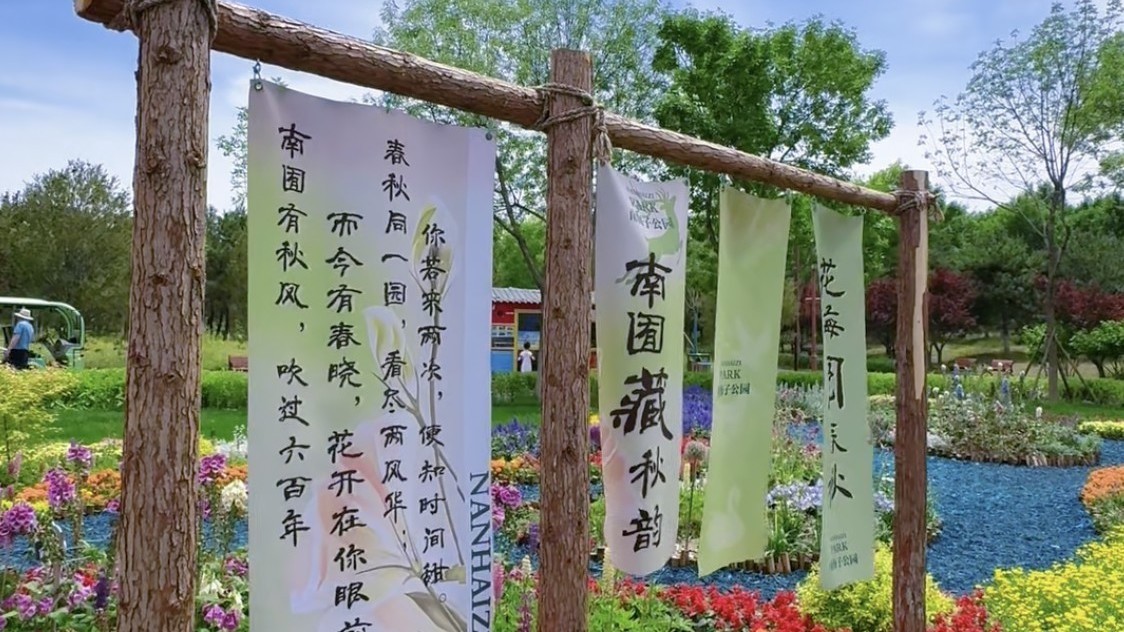 北京夏日治愈秘境 南海子公园麋鹿花艺景致美到犯规