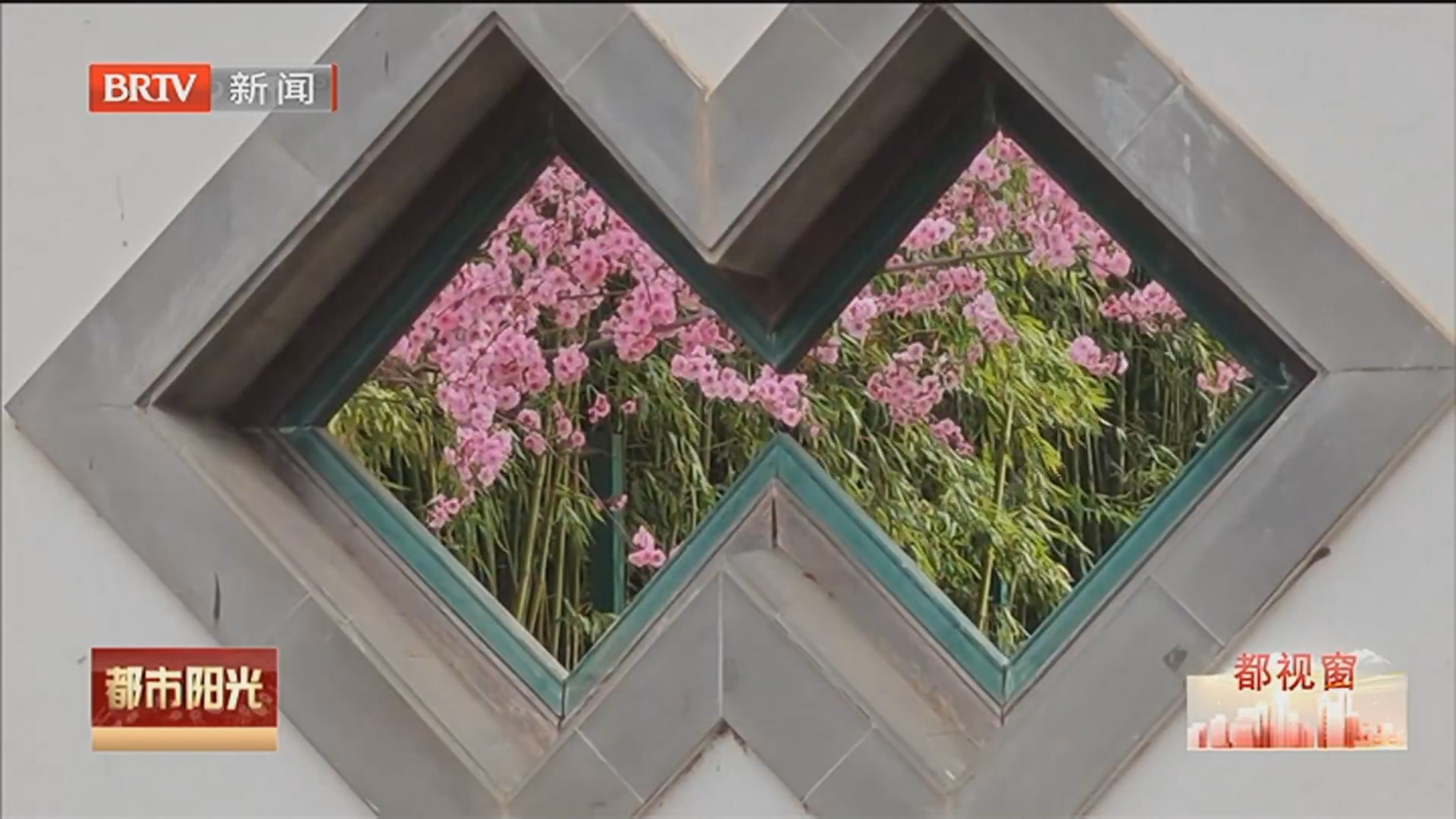 《都市阳光》20260327