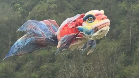 梦幻一幕!田野间邂逅非遗鳌鱼灯 梦幻一幕!田野间邂逅非遗鳌鱼灯