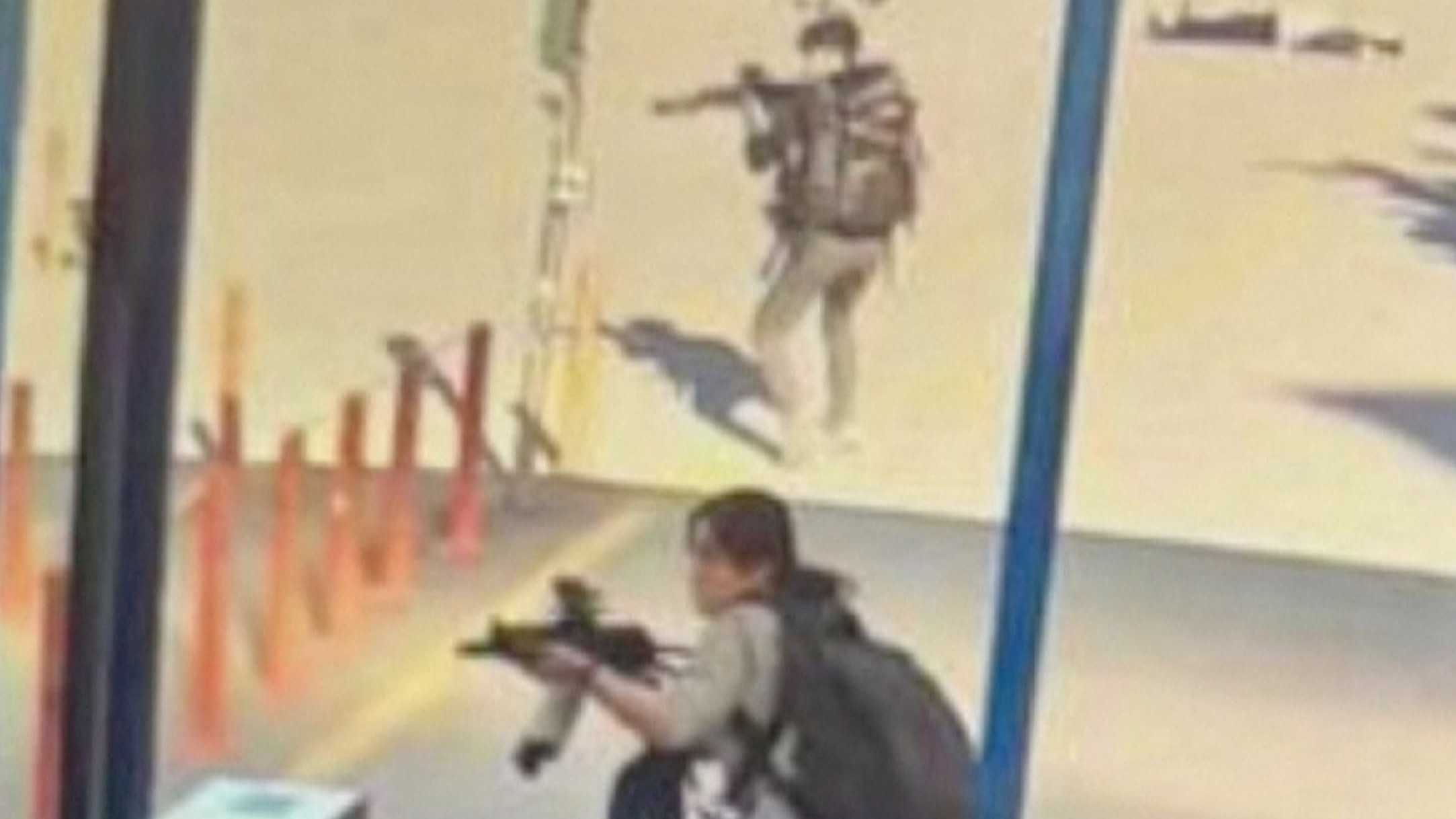 土耳其防长：库尔德工人党实施了对土国防工厂的恐袭