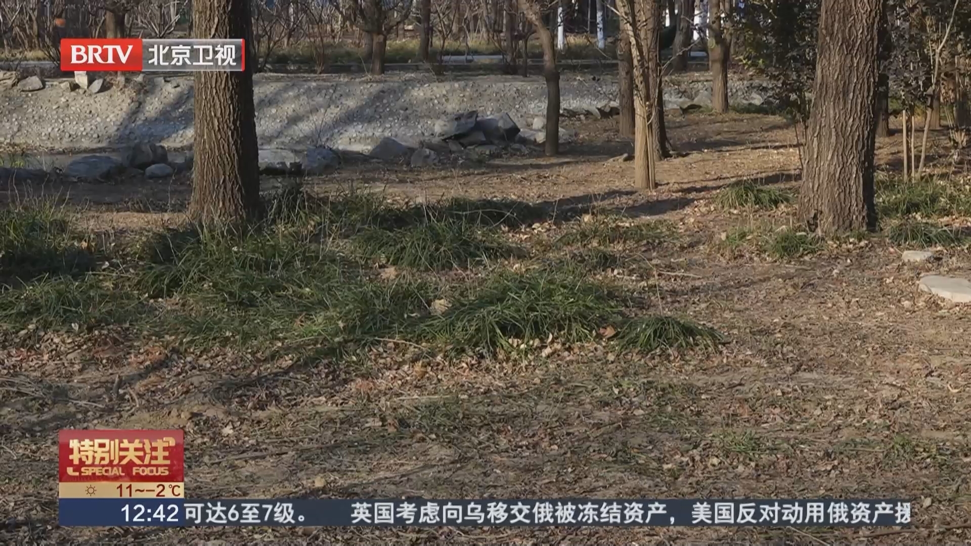 第12个“世界土壤日”：“十五五”期间 北京将大面积改善贫瘠土壤