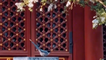 春日古寺与繁花邂逅有多美