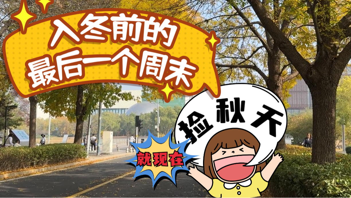 入冬前的最后一个周末!捡秋天就现在! 入冬前的最后一个周末!捡秋天就现在!