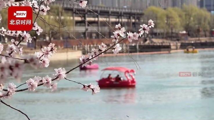 石景山区繁花次第绽放 奏响春日动人旋律
