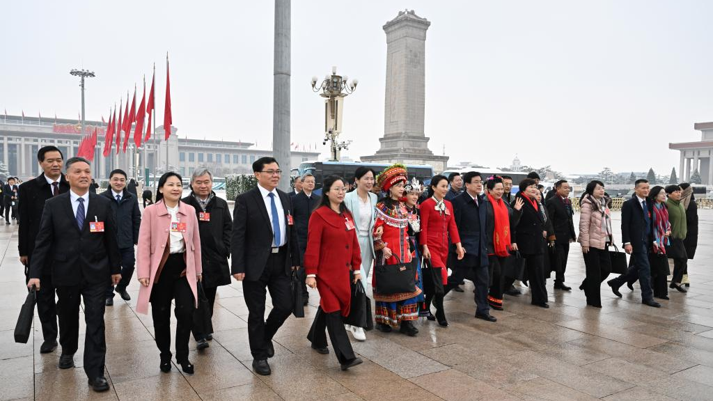 两会含“青”!青春身影点亮新就业奋进路 两会含“青”!青春身影点亮新就业奋进路