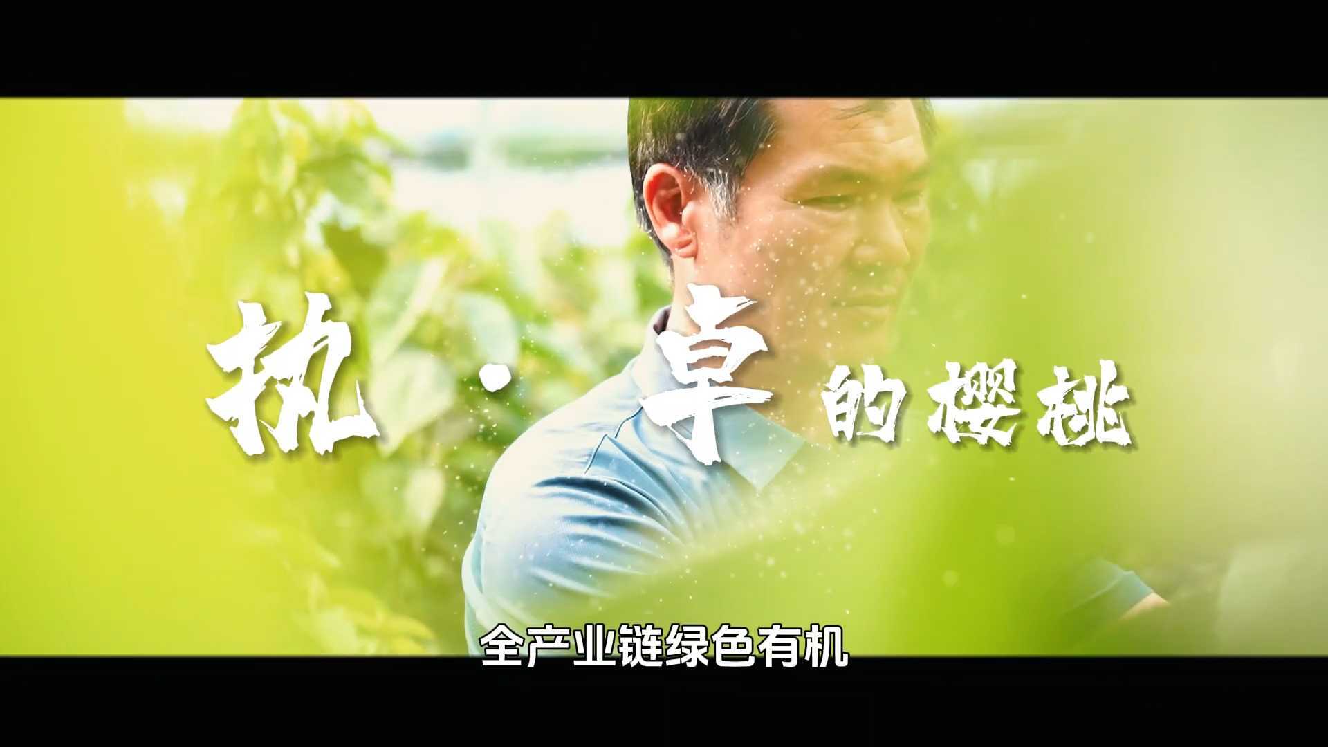 【京·花果蜜】好吃到爆表~~执·卓的樱桃有啥秘密？全流程晒给你看