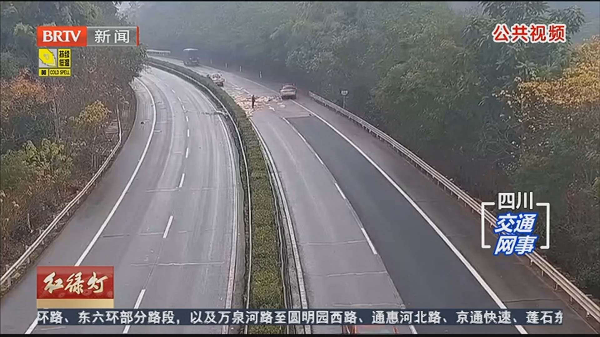 《红绿灯》20260119