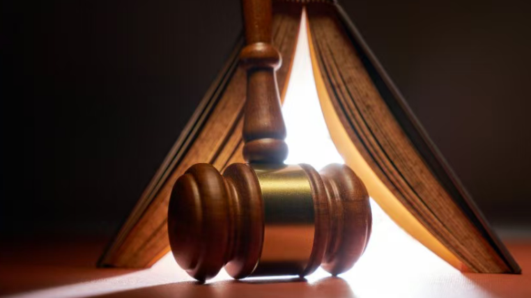 清理拖欠中小企业账款 2025年各地法院执行到位311.42亿元