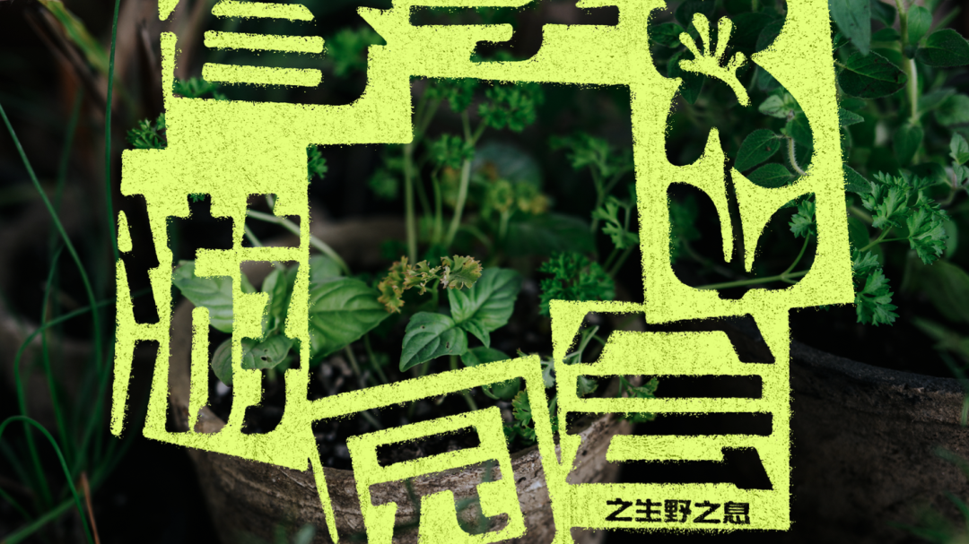 逛市集、赏表演、做手工……房山FUGA春季游园会邀您解锁春日治愈玩法