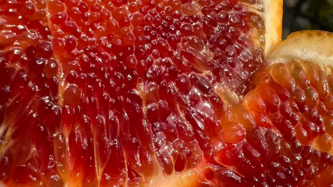 VC含量爆表!这颗自带玫瑰香的血橙,据说吃过的人不到0.7%→ VC含量爆表!这颗自带玫瑰香的血橙,据说吃过的人不到0.7%→