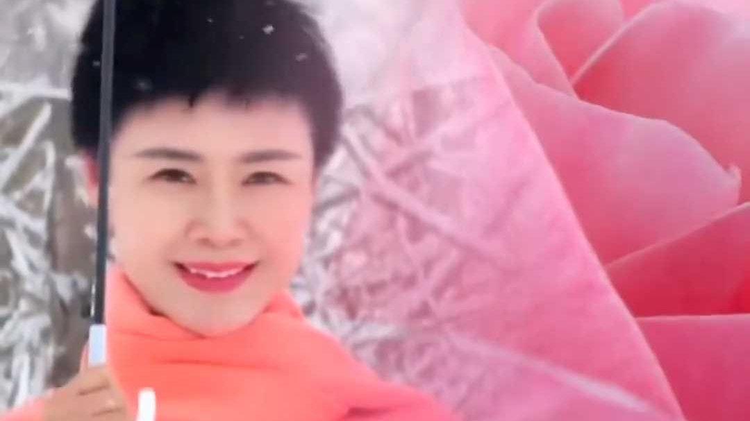 定了！编号4815-27云南月季就叫“娇龙”