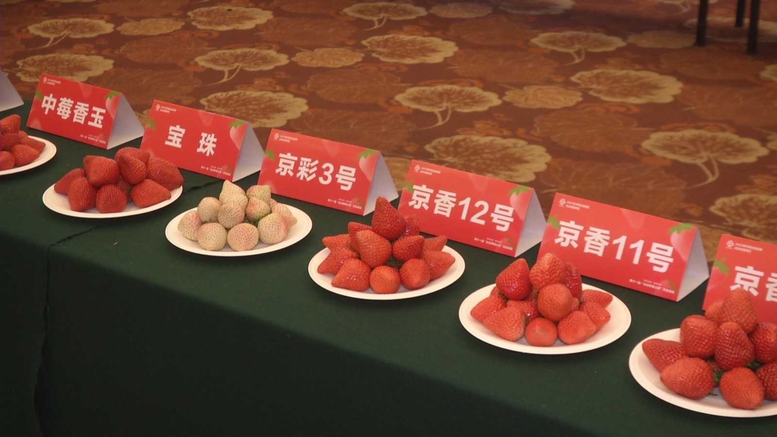 “北京草莓之星”评选结果出炉！