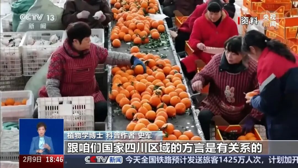 “pápá柑”还是“bābā柑”？都错！实为“pāpā柑”_北京时间