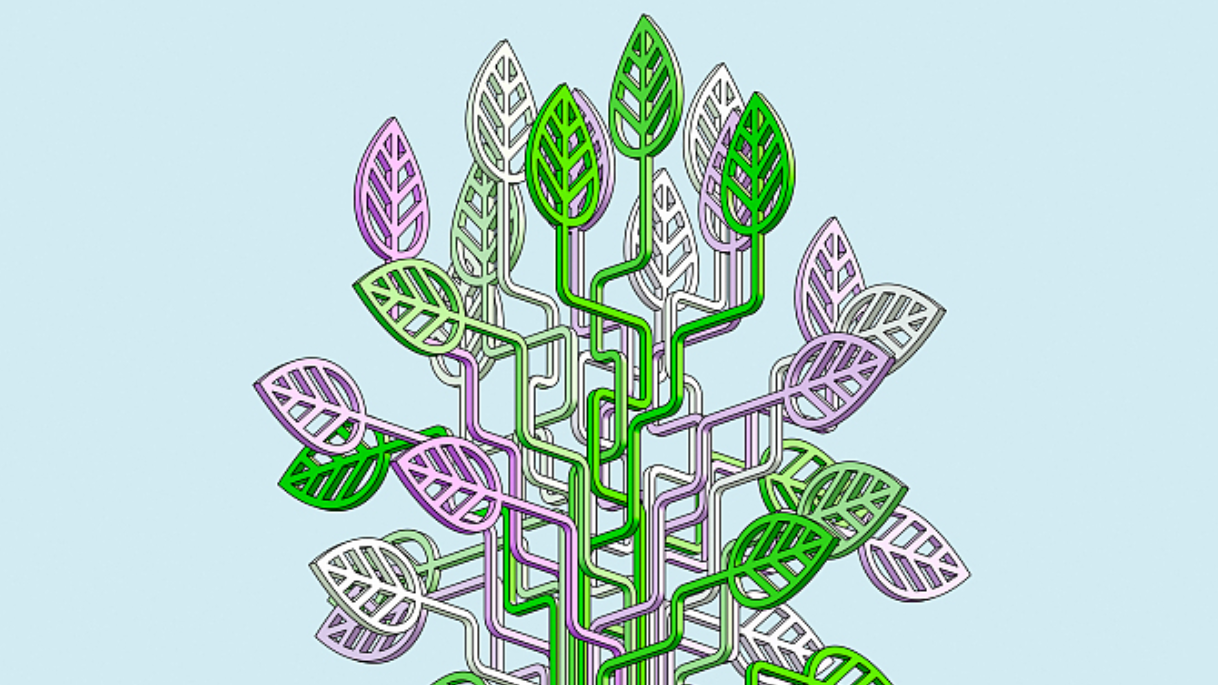 中国科研团队发现一植物新变种