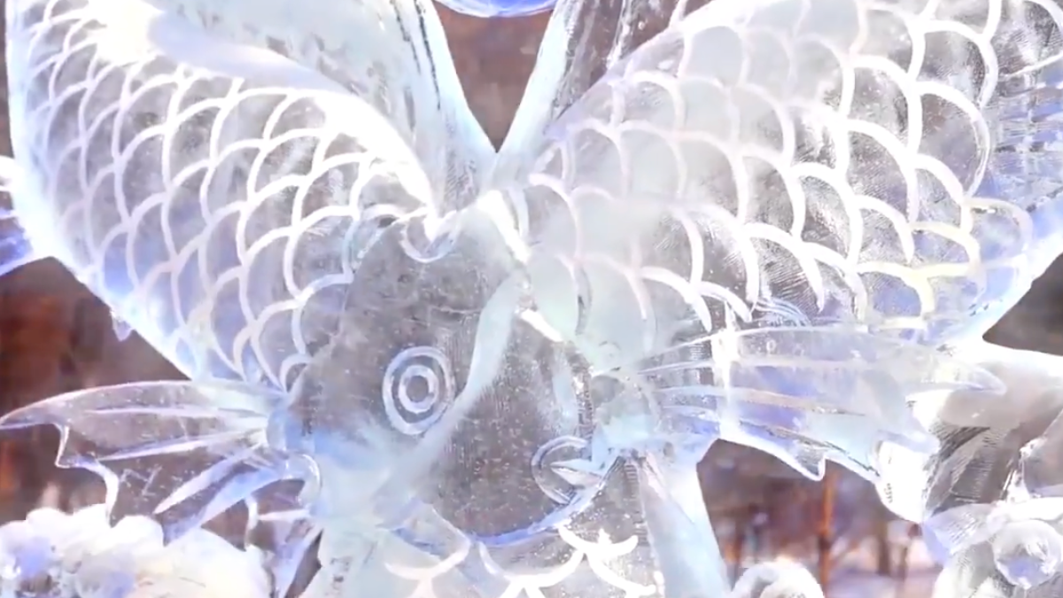 好美！东北冰雕创意满满，栩栩如生