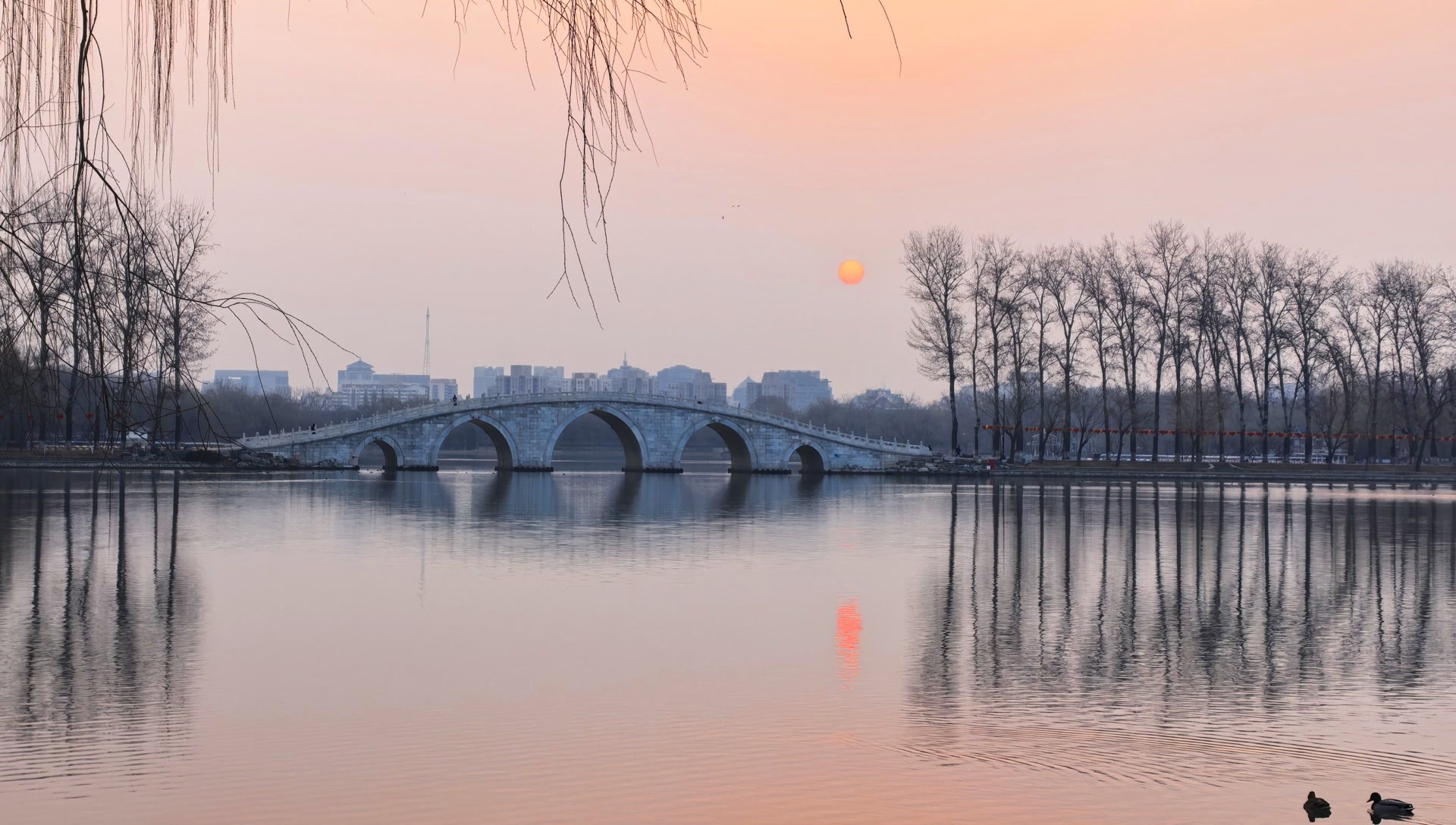 3月8日北京清晨,朝阳像薄雾腌出了鸭蛋黄 3月8日北京清晨,朝阳像薄雾腌出了鸭蛋黄