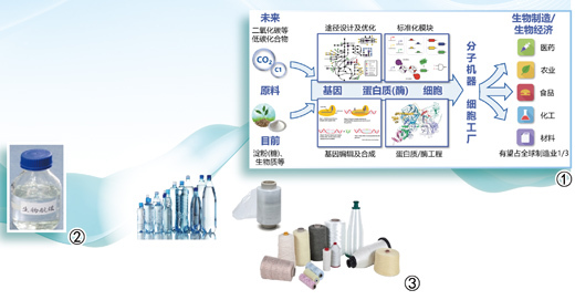 生物制造如何改变我们的生活?谭天伟院士讲解 生物制造如何改变我们的生活?谭天伟院士讲解