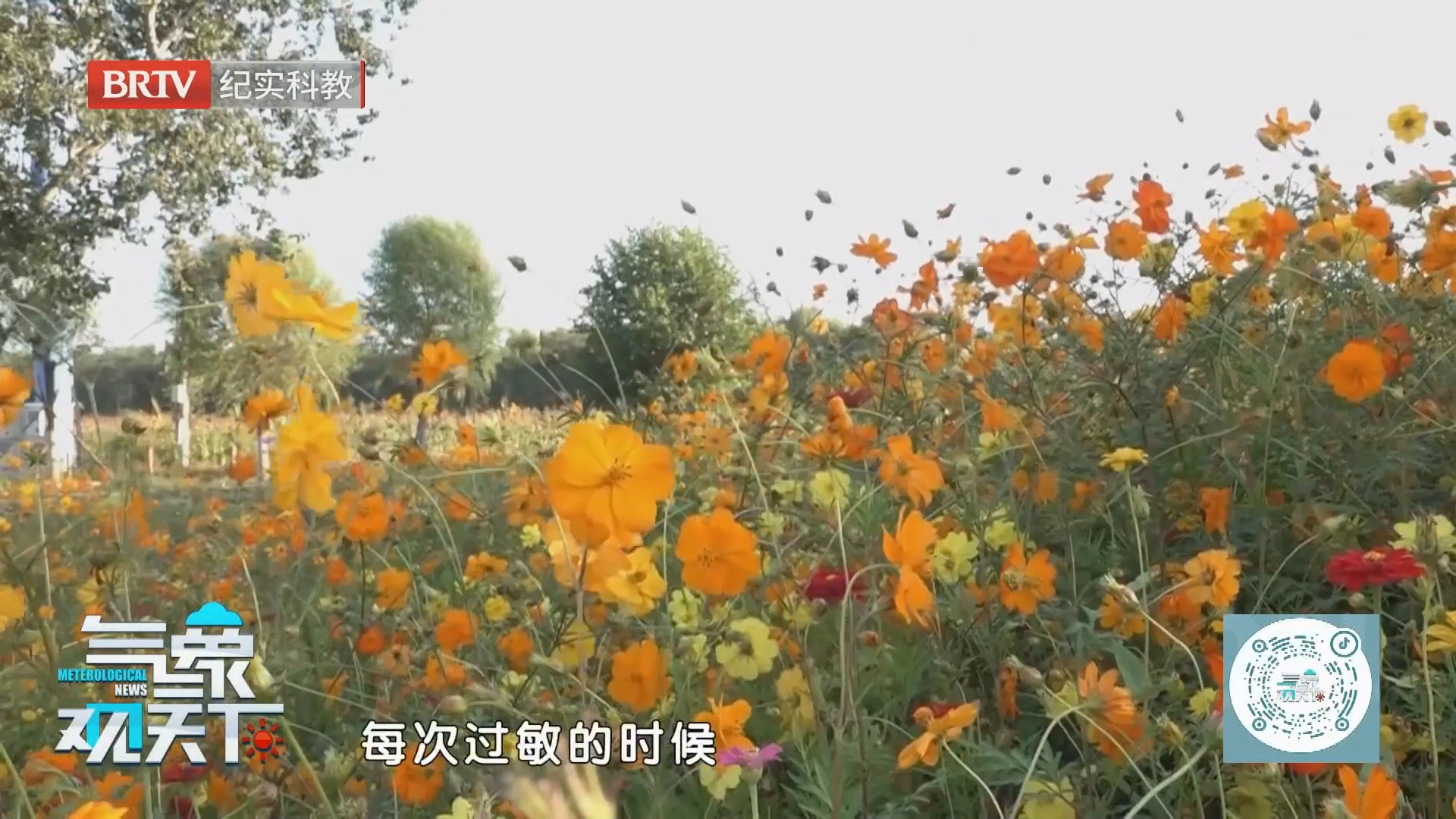 皮肤过敏 别总让花粉“背锅”