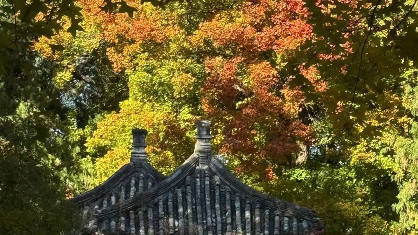 今日最高气温15℃,夜间能见度较差,注意交通安全 今日最高气温15℃,夜间能见度较差,注意交通安全