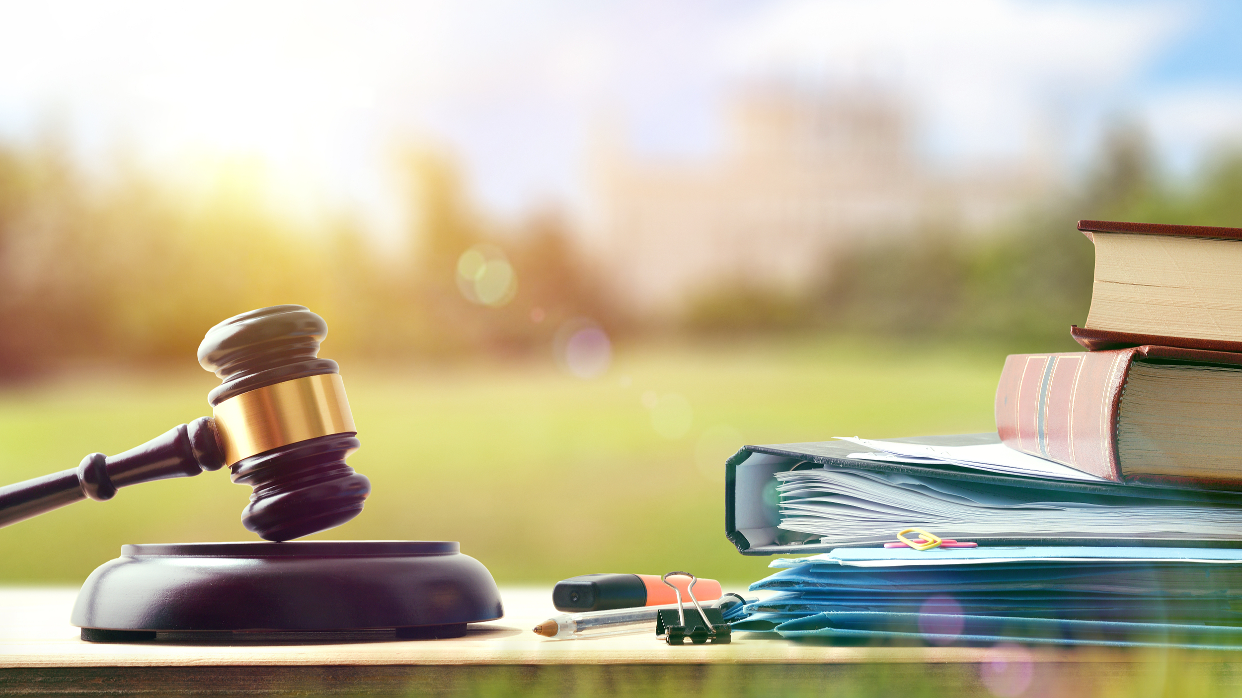 今年将修改教师法、道路交通安全法等 今年将修改教师法、道路交通安全法等