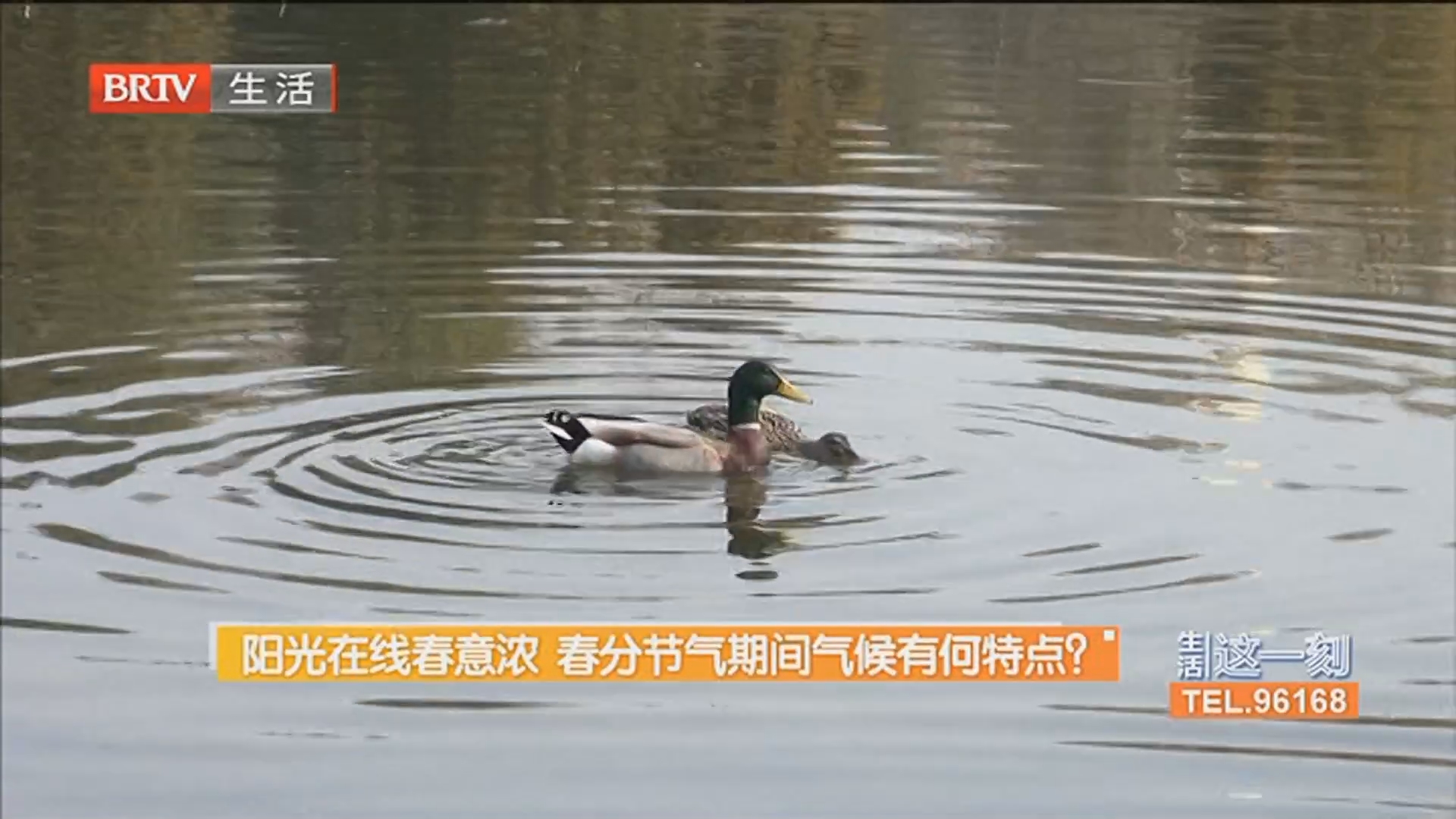 阳光在线春意浓 春分节气期间气候有何特点？