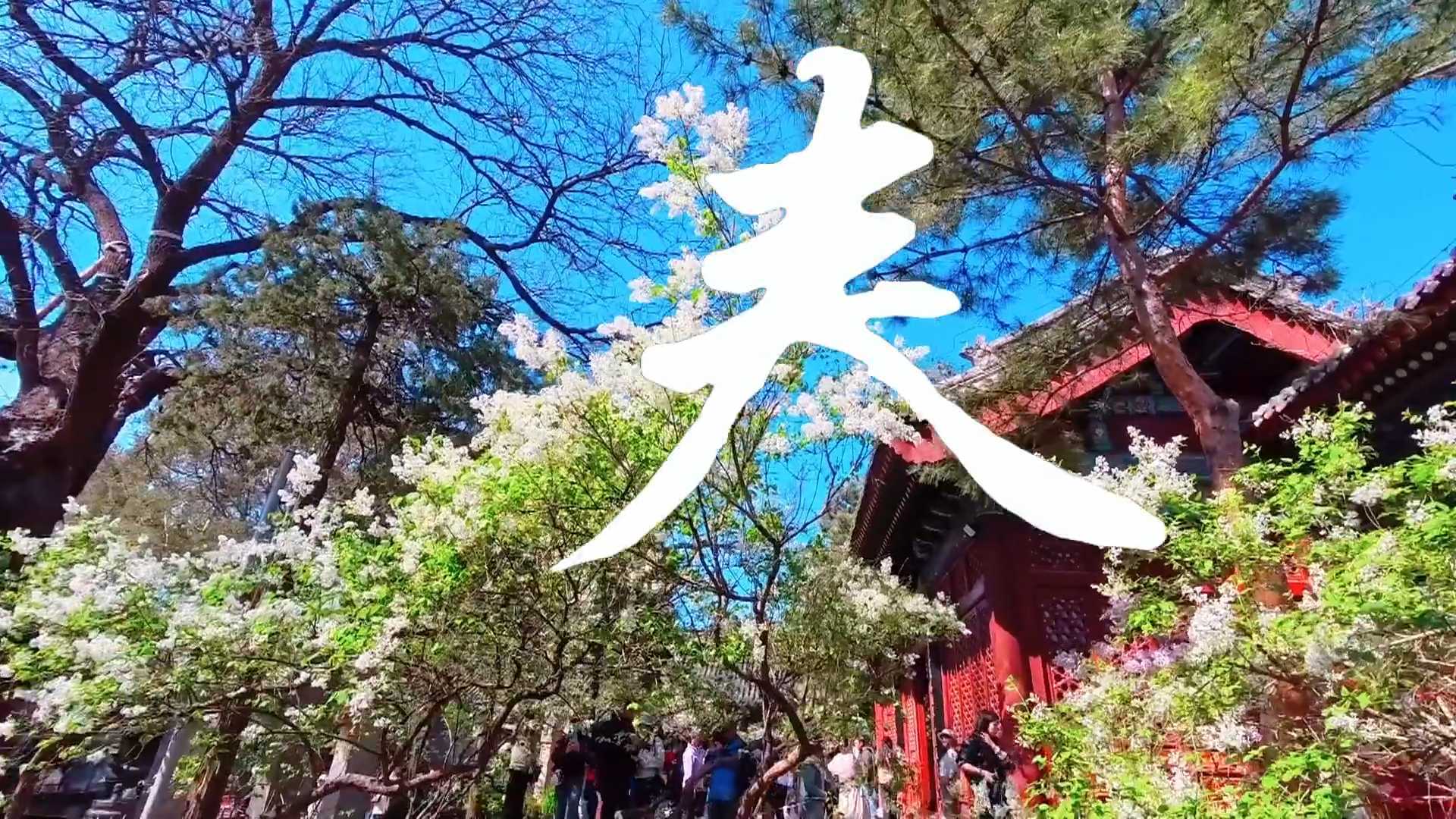 【春日经济】北京这处小众秘境,下周将迎来颜值巅峰! 【春日经济】北京这处小众秘境,下周将迎来颜值巅峰!