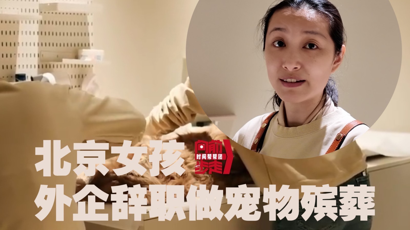 北京女孩外企辞职后选择做宠物殡葬师