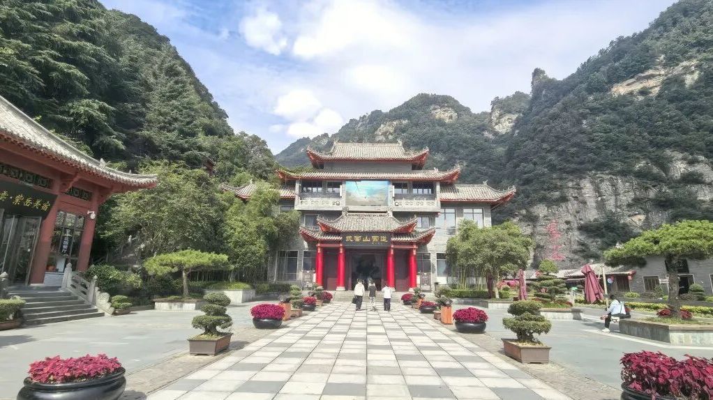 产业提升,村民增收!北京通州对口协作武当山 产业提升,村民增收!北京通州对口协作武当山
