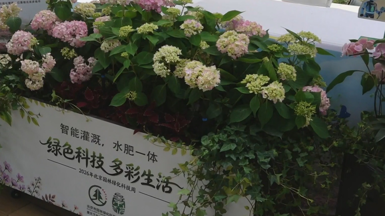 2026年北京园林绿化科技周举办 200余项科技新成果助力花园城市建设