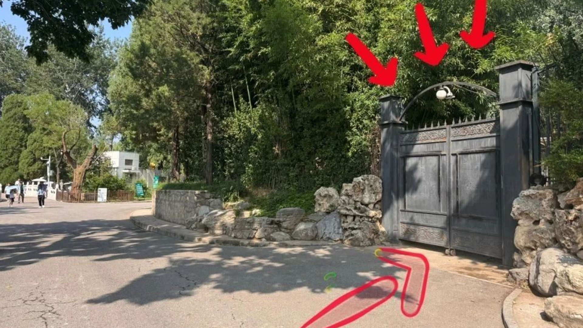 北动大熊猫馆换新入口啦！7月15日开始启用，千万别走错！