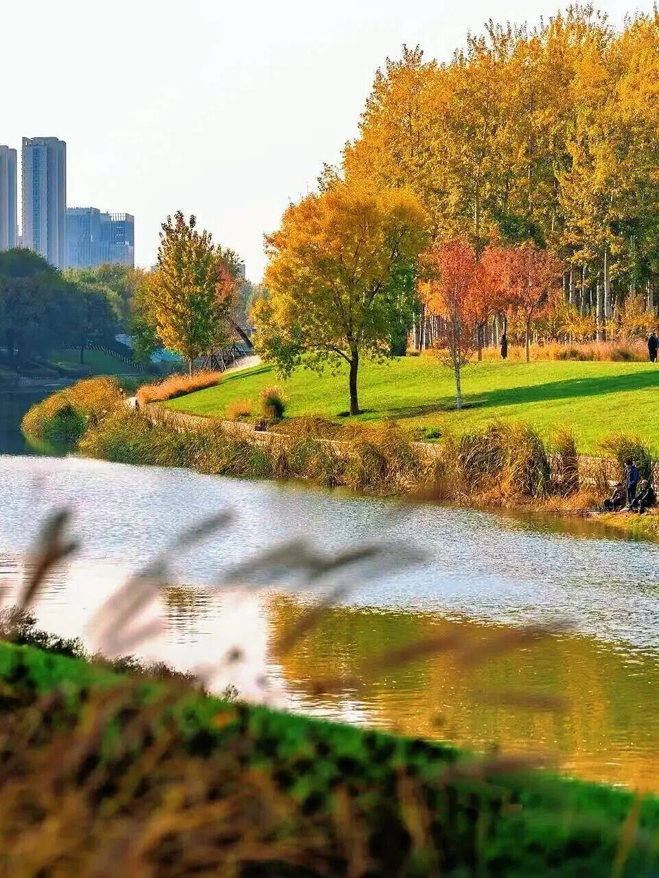 坝河，为何成了很多人心中的“坝”加尔湖？