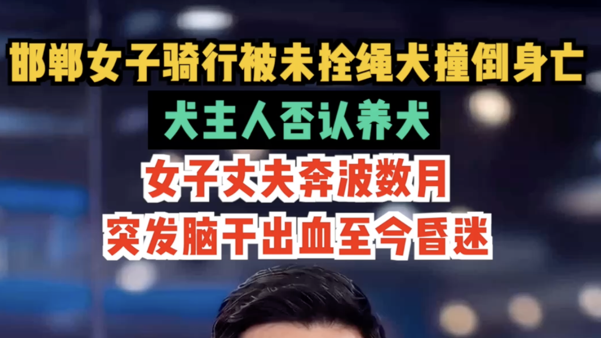 邯郸女子骑行被未拴绳犬撞倒身亡，犬主矢口否认