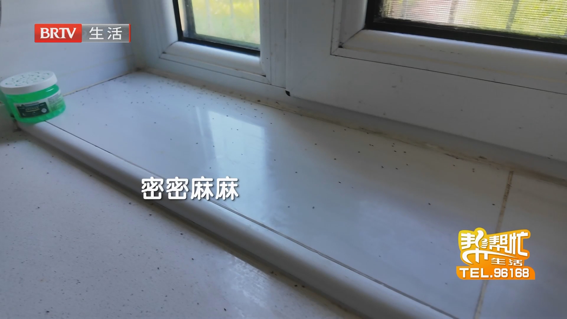 家中小虫泛滥 四处购药消杀难根除
