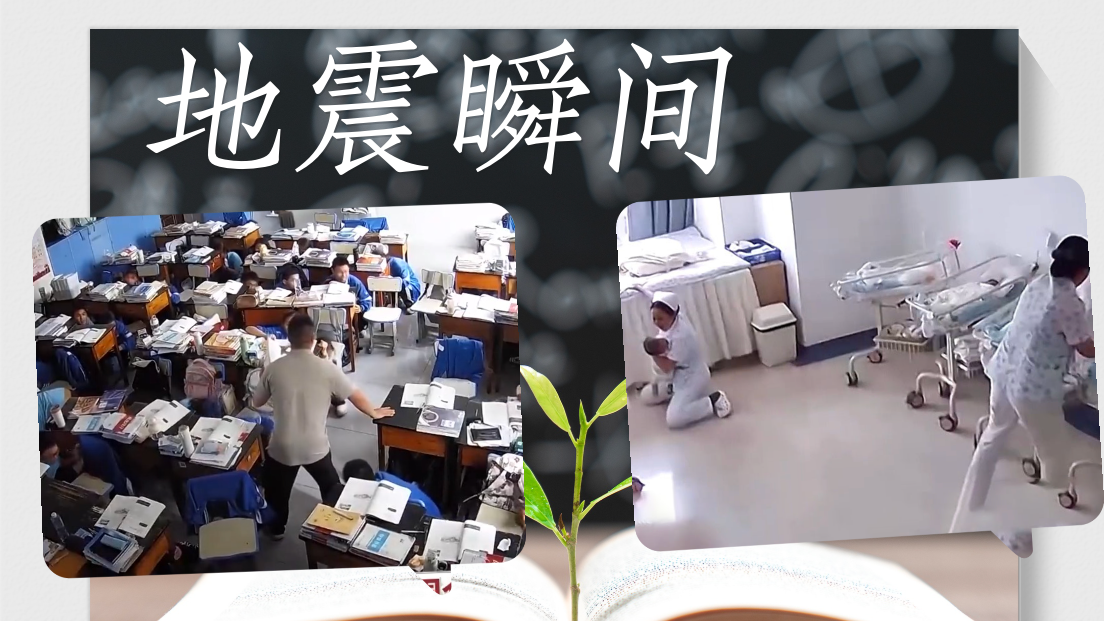 地震瞬间 他们的第一反应令人动容 地震瞬间 他们的第一反应令人动容