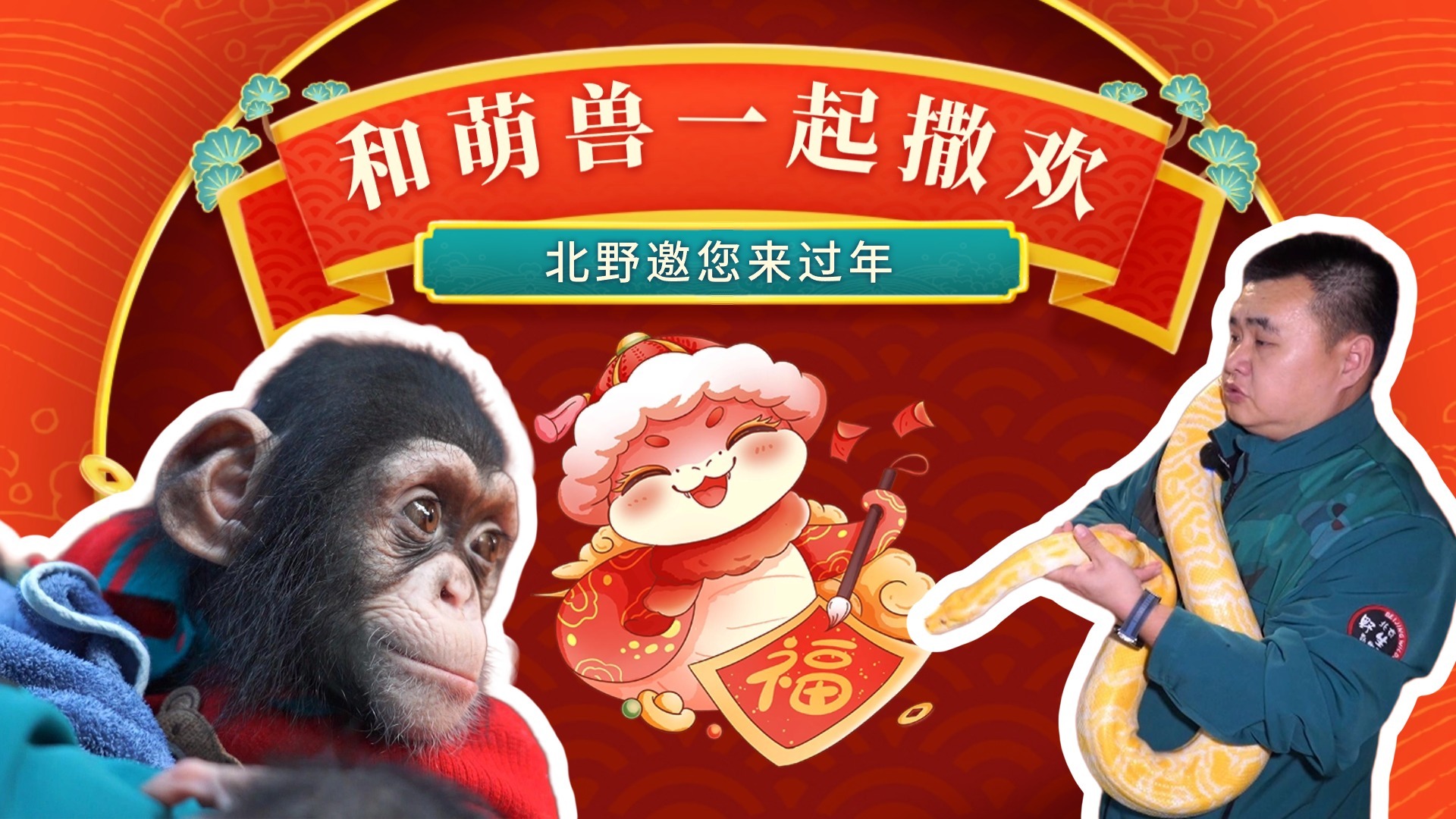 和萌兽一起撒欢 北野邀您来过年
