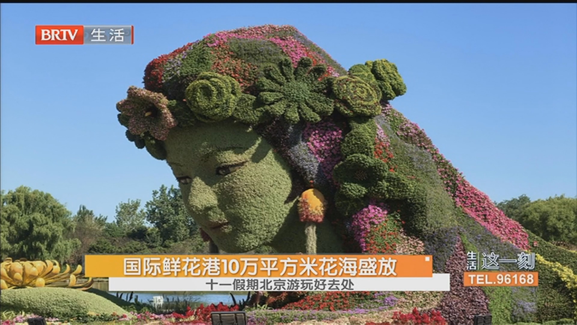 国际鲜花港10万平方米花海盛放 十一假期 北京游玩好去处_北京时间