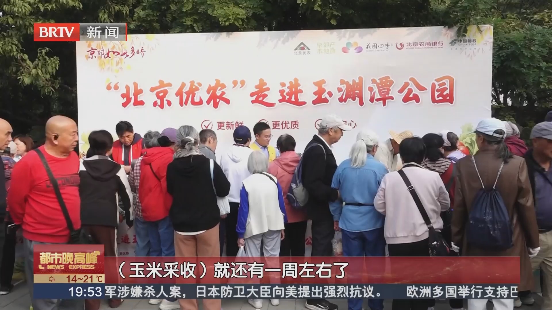 鲜食玉米正当时 玉渊潭公园开“早市”展销