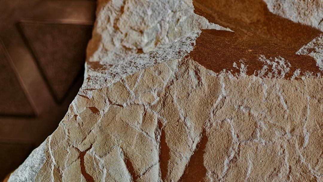 亚洲首例侏罗纪中期两栖动物足迹化石在北京发现